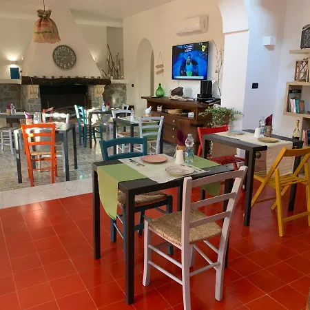 Anna Guest house