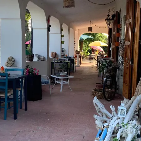 Anna Guest house *